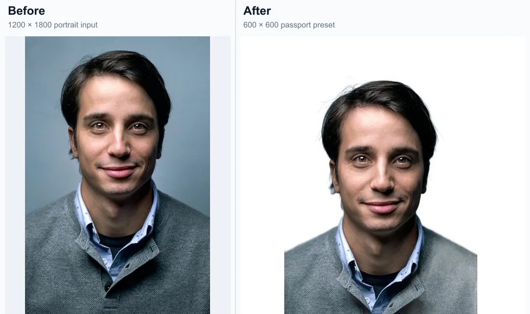 Standard portrait passport photo example